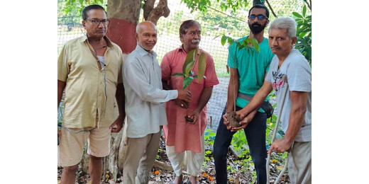 विश्व झील दिवस पर पर्यावरण भारती ने किया पौधारोपण, कृष्णा प्रसाद सिंह को दी श्रद्धांजलि